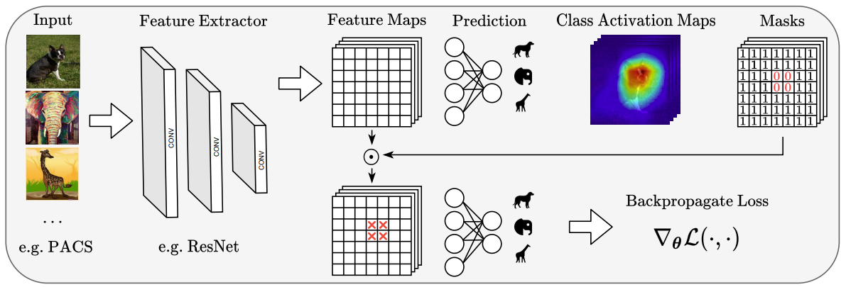 Explainability-aided Domain Generalization for Image Classification